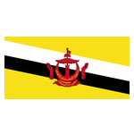 主队图片