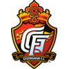 主队图片